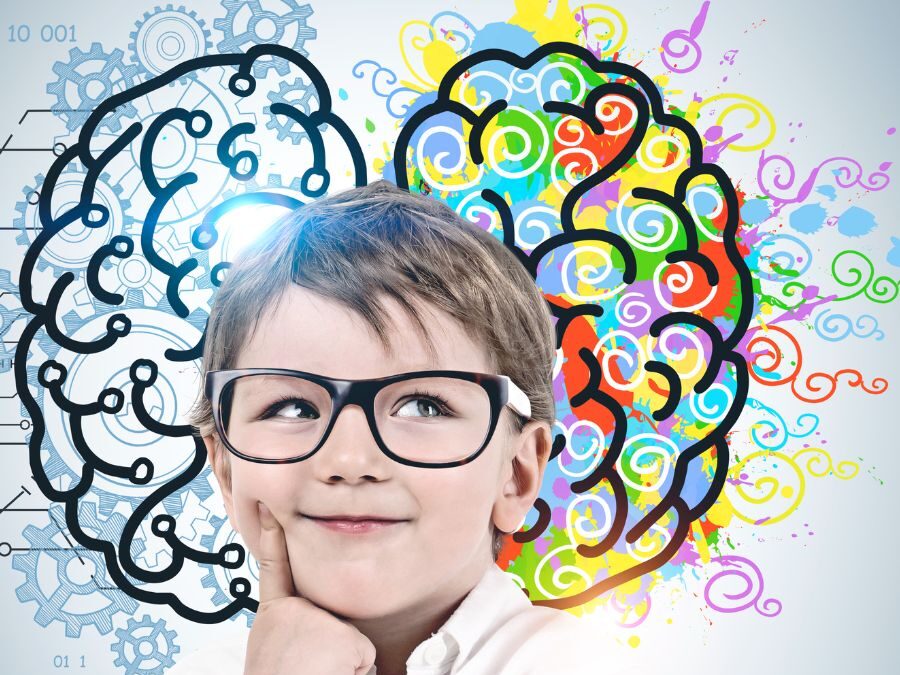 Neuropsicopedagogia