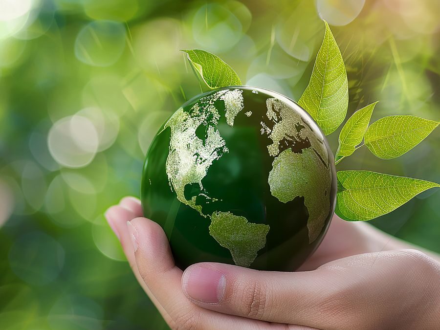 Educação Ambiental e Sustentabilidade